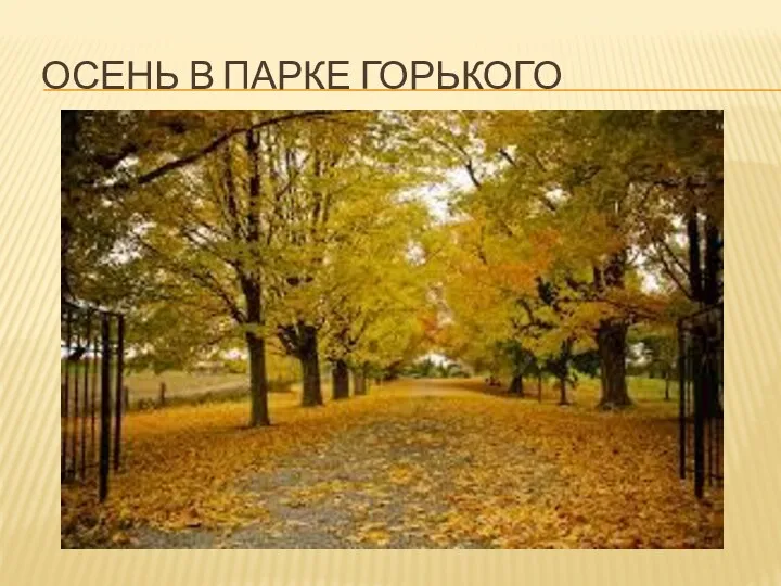 Осень в парке горького