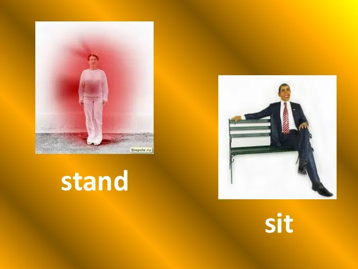 stand sit