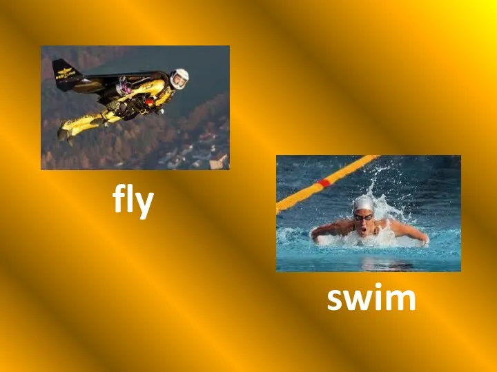 fly swim