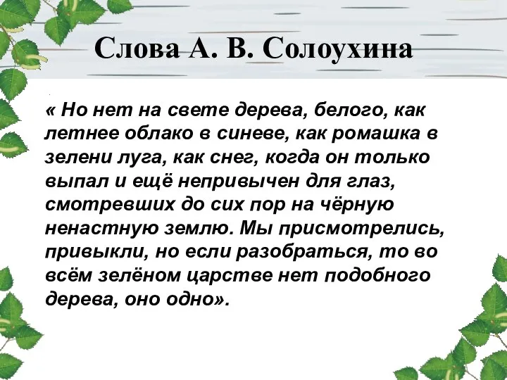 Слова А. В. Солоухина « Но нет на свете дерева, белого, как летнее