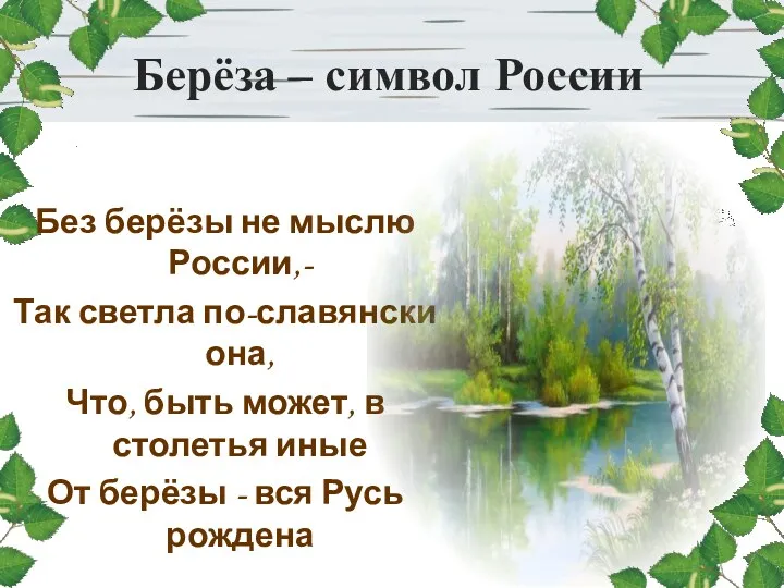 Берёза – символ России Без берёзы не мыслю России,- Так светла по-славянски она,