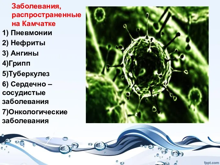 Заболевания, распространенные на Камчатке 1) Пневмонии 2) Нефриты 3) Ангины