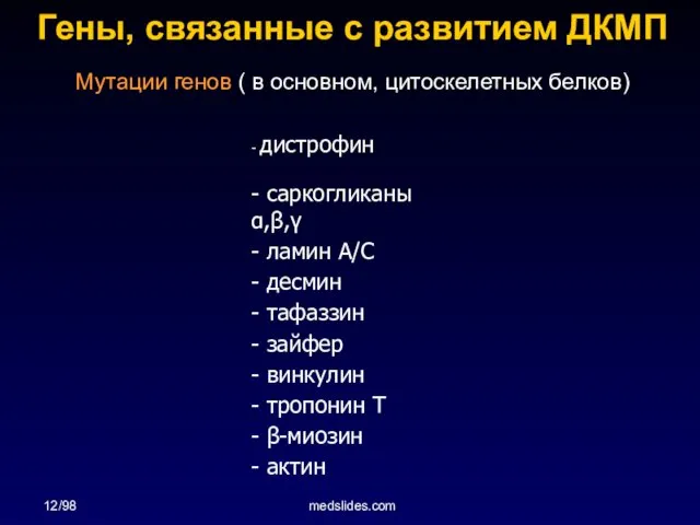 12/98 medslides.com - дистрофин - саркогликаны α,β,γ - ламин A/C