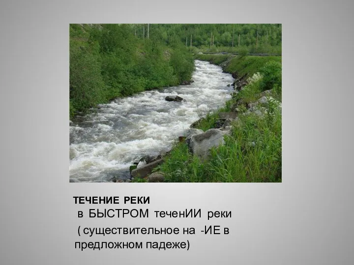 В ТЕЧЕНИЕ ТЕЧЕНИЕ РЕКИ в БЫСТРОМ теченИИ реки ( существительное на -ИЕ в предложном падеже)