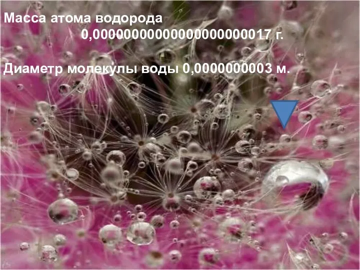 Масса атома водорода 0,00000000000000000000017 г. Диаметр молекулы воды 0,0000000003 м.