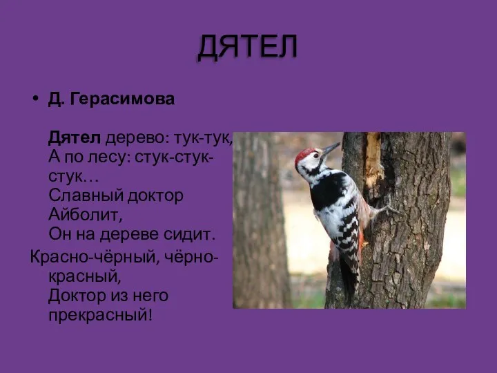 ДЯТЕЛ Д. Герасимова Дятел дерево: тук-тук, А по лесу: стук-стук-стук…