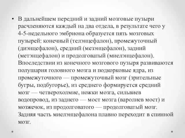 В дальнейшем передний и задний мозговые пузыри расчленяются каждый на