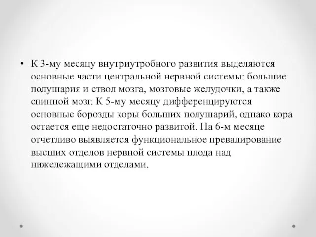 К 3-му месяцу внутриутробного развития выделяются основные части центральной нервной