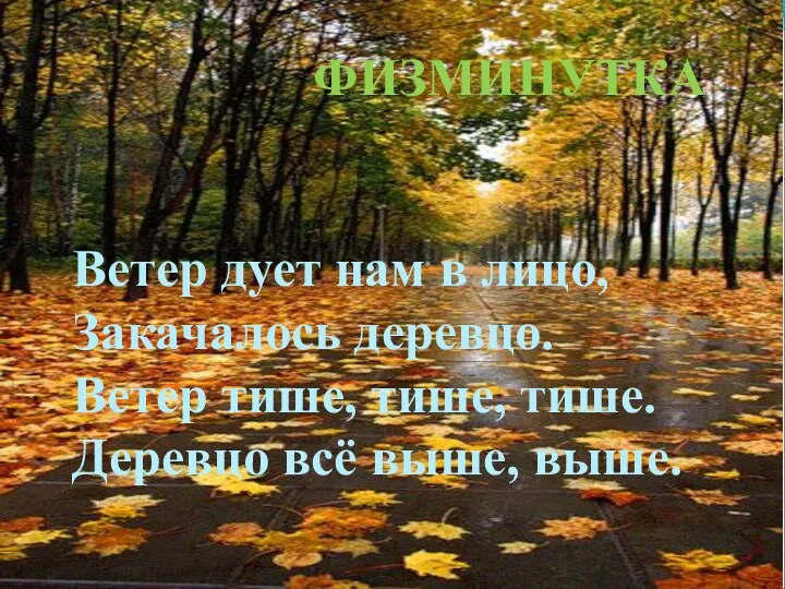 ФИЗМИНУТКА Ветер дует нам в лицо, Закачалось деревцо. Ветер тише, тише, тише. Деревцо всё выше, выше.