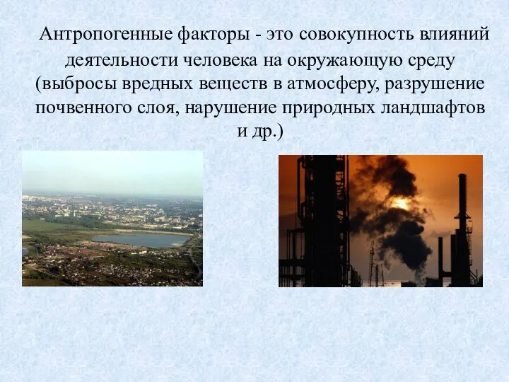 Антропогенные факторы - это совокупность влияний деятельности человека на окружающую