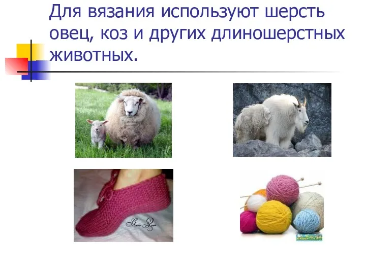 Для вязания используют шерсть овец, коз и других длиношерстных животных.