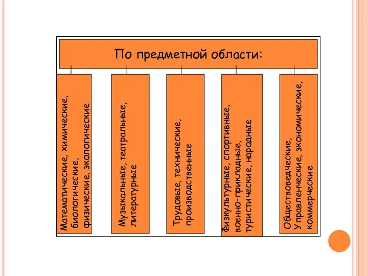 По предметной области: Музыкальные, театральные, литературные Трудовые, технические, производственные Физкультурные,