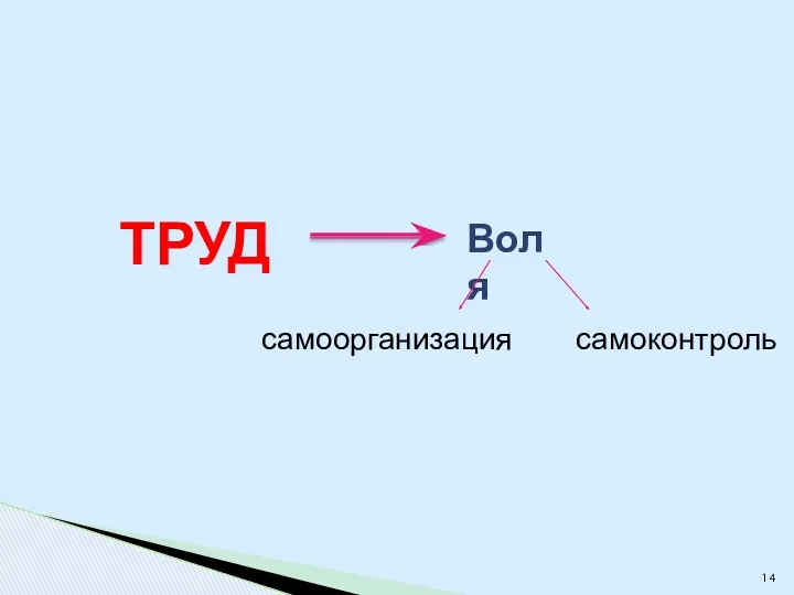 ТРУД Воля самоконтроль самоорганизация