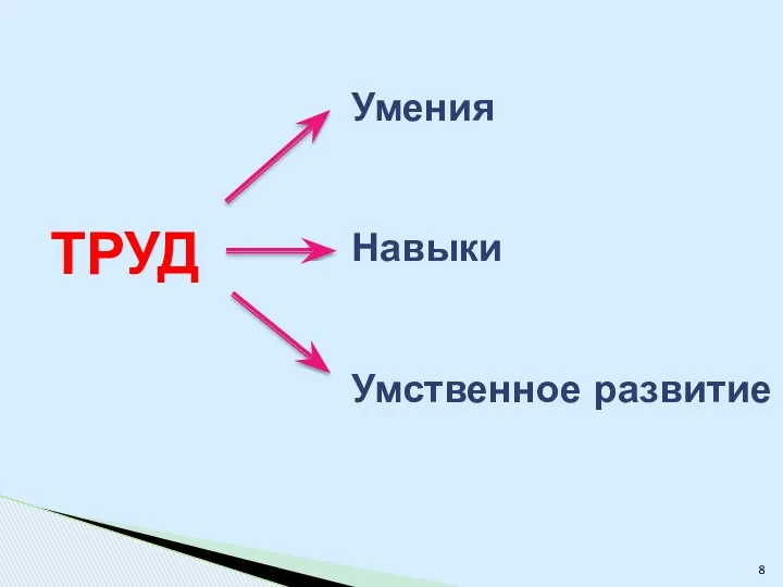 ТРУД Умения Навыки Умственное развитие