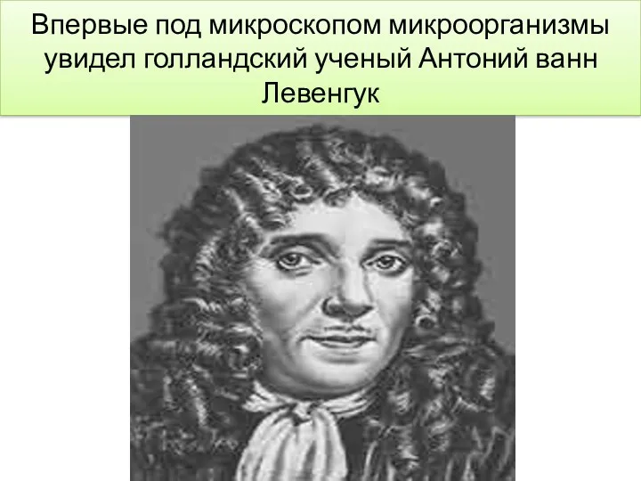 Впервые под микроскопом микроорганизмы увидел голландский ученый Антоний ванн Левенгук