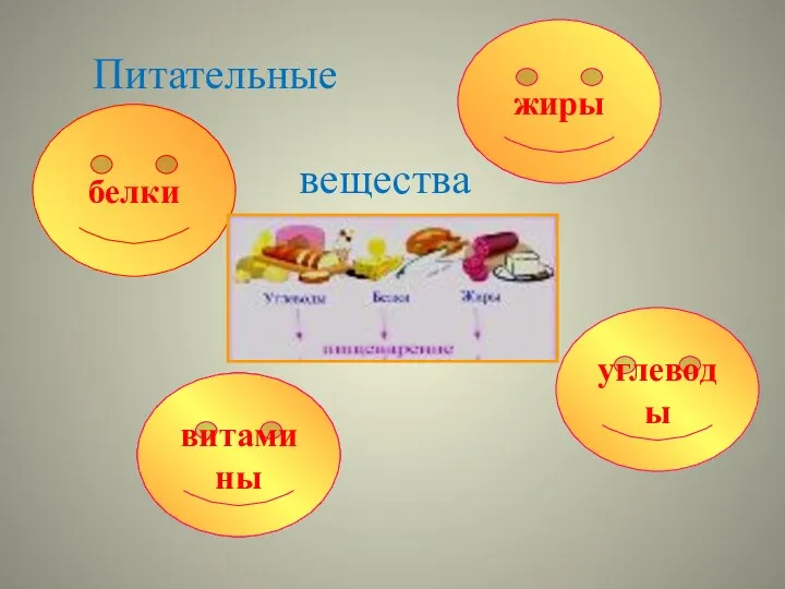 белки углеводы жиры ? витамины Питательные вещества