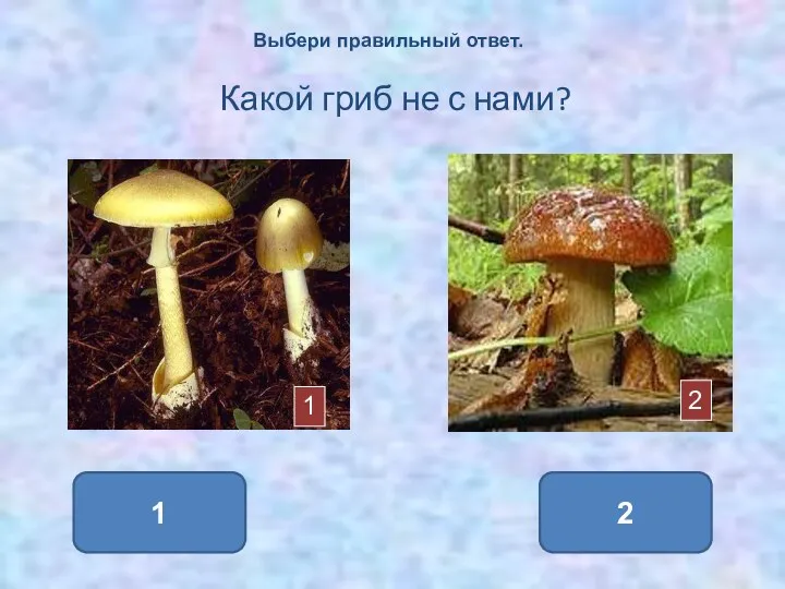 1 2 Выбери правильный ответ. Какой гриб не с нами? 1 2
