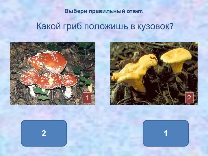 2 1 Выбери правильный ответ. Какой гриб положишь в кузовок? 1 2