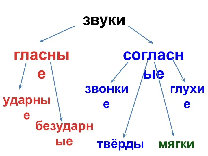 звуки гласные согласные безударные ударные звонкие глухие твёрдые мягкие