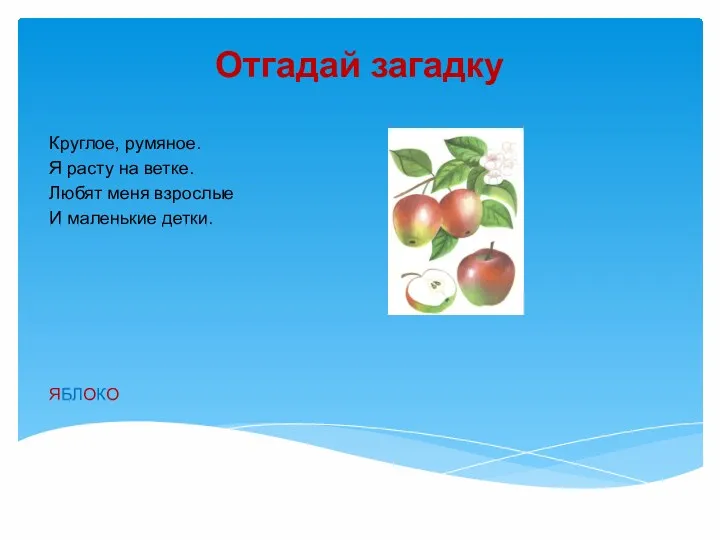 Отгадай загадку Круглое, румяное. Я расту на ветке. Любят меня взрослые И маленькие детки. ЯБЛОКО