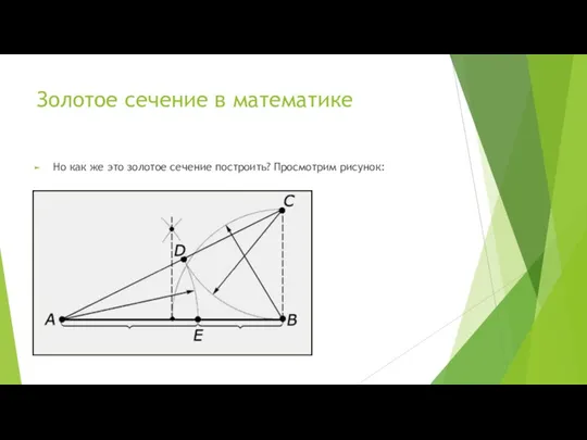 Золотое сечение в математике Но как же это золотое сечение построить? Просмотрим рисунок: