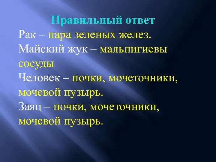 Правильный ответ Рак – пара зеленых желез. Майский жук –