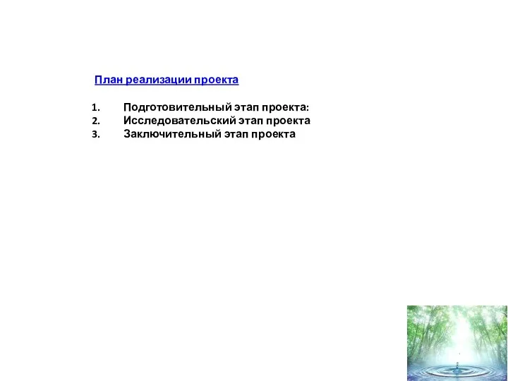 План реализации проекта Подготовительный этап проекта: Исследовательский этап проекта Заключительный этап проекта