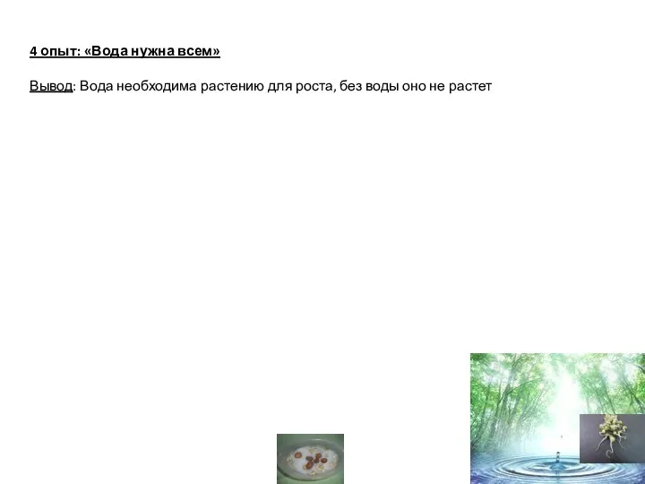 4 опыт: «Вода нужна всем» Вывод: Вода необходима растению для роста, без воды оно не растет