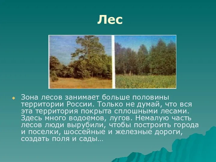 Лес Зона лесов занимает больше половины территории России. Только не