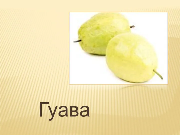 Гуава