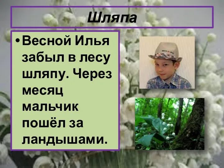 Шляпа Весной Илья забыл в лесу шляпу. Через месяц мальчик пошёл за ландышами.