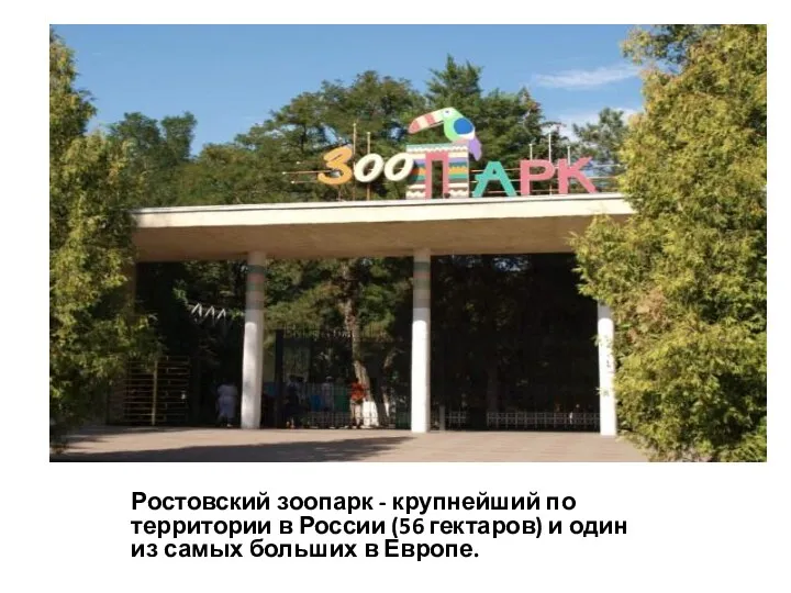 Ростовский зоопарк - крупнейший по территории в России (56 гектаров) и один из