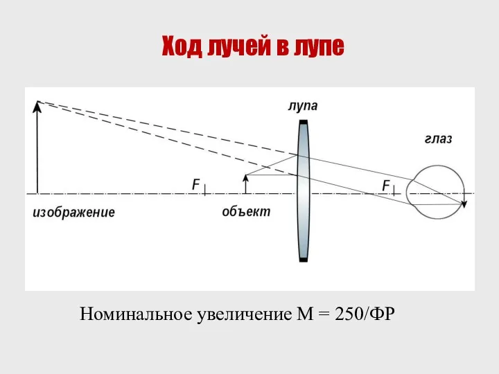 Ход лучей в лупе Номинальное увеличение M = 250/ФР