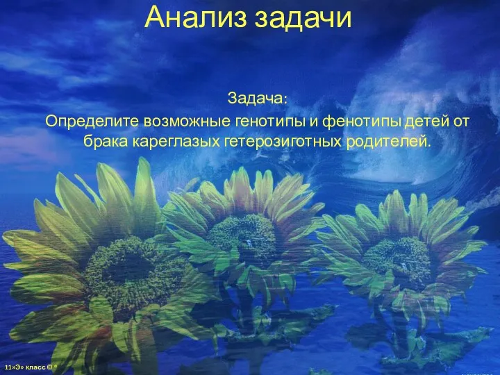 Анализ задачи Задача: Определите возможные генотипы и фенотипы детей от