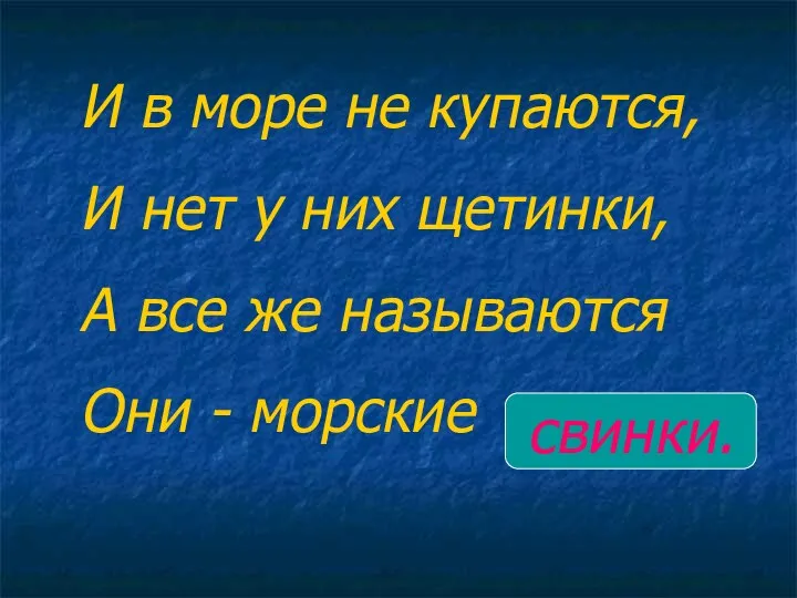 И в море не купаются, И нет у них щетинки,