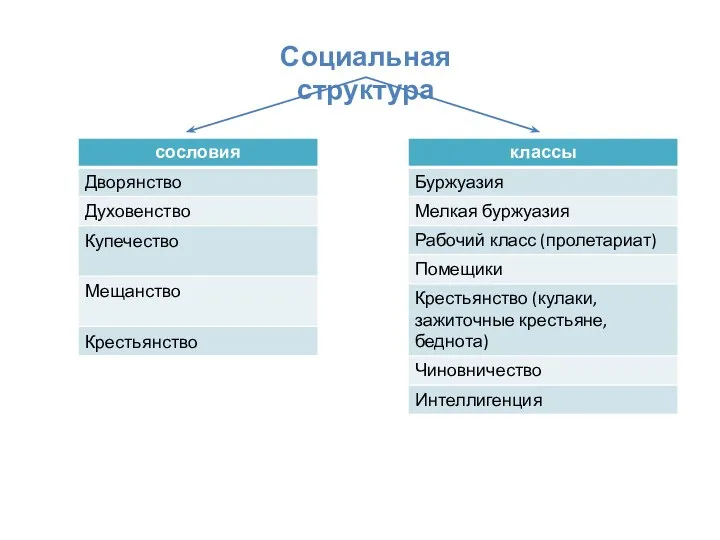 Социальная структура