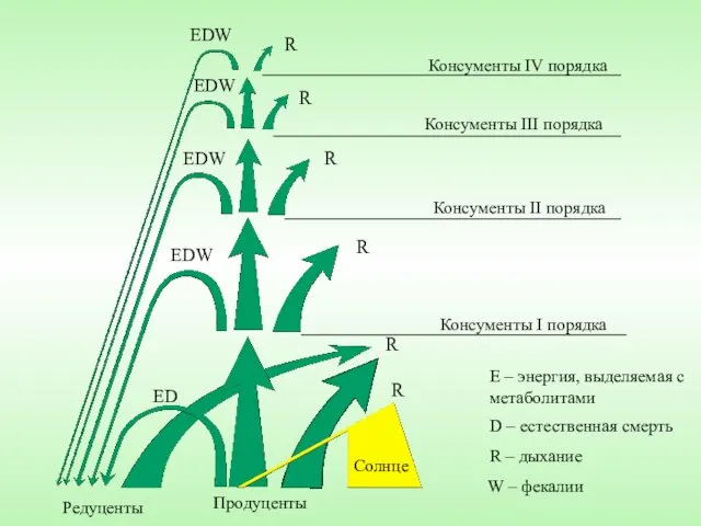 R R R R R EDW EDW EDW EDW ED