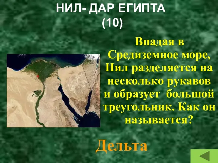 НИЛ- ДАР ЕГИПТА (10) Впадая в Средиземное море, Нил разделяется на несколько рукавов