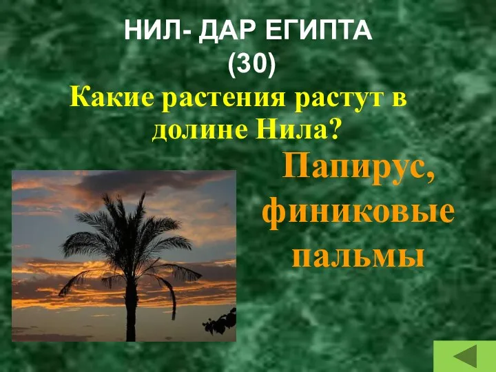 НИЛ- ДАР ЕГИПТА (30) Какие растения растут в долине Нила? Папирус, финиковые пальмы