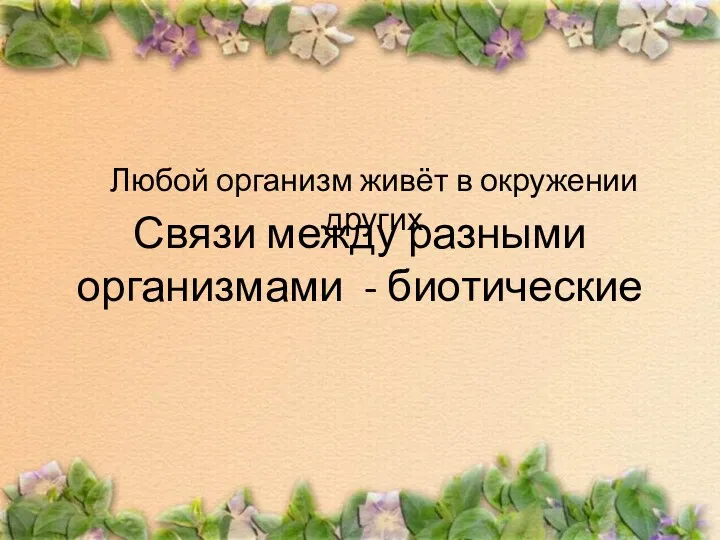 Любой организм живёт в окружении других Связи между разными организмами - биотические