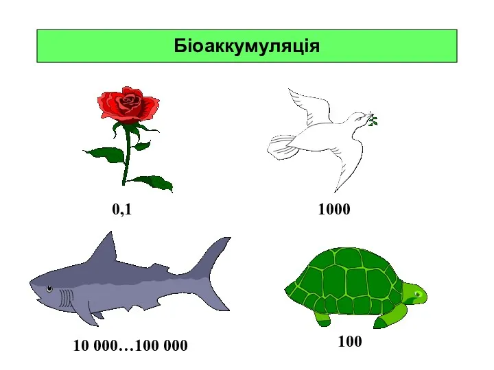 Біоаккумуляція 0,1 1000 10 000…100 000 100