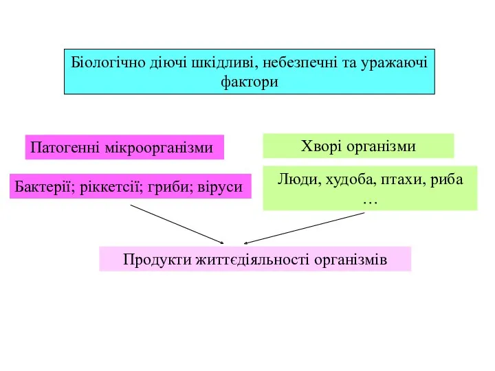 Біологічно діючі шкідливі, небезпечні та уражаючі фактори Патогенні мікроорганізми Хворі