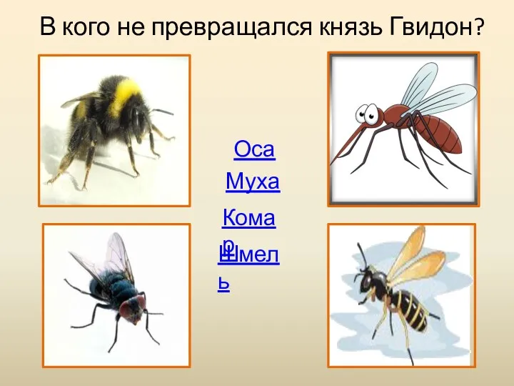 В кого не превращался князь Гвидон? Оса Муха Шмель Комар