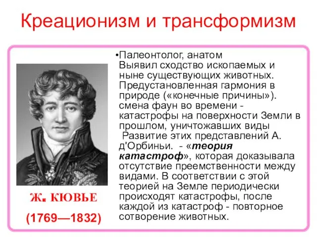 Креационизм и трансформизм Ж. КЮВЬЕ (1769—1832) Палеонтолог, анатом Выявил сходство