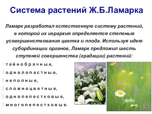 Система растений Ж.Б.Ламарка Ламарк разработал естественную систему растений, в которой их иерархия определяется