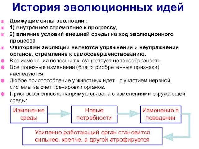 История эволюционных идей Движущие силы эволюции : 1) внутреннее стремление