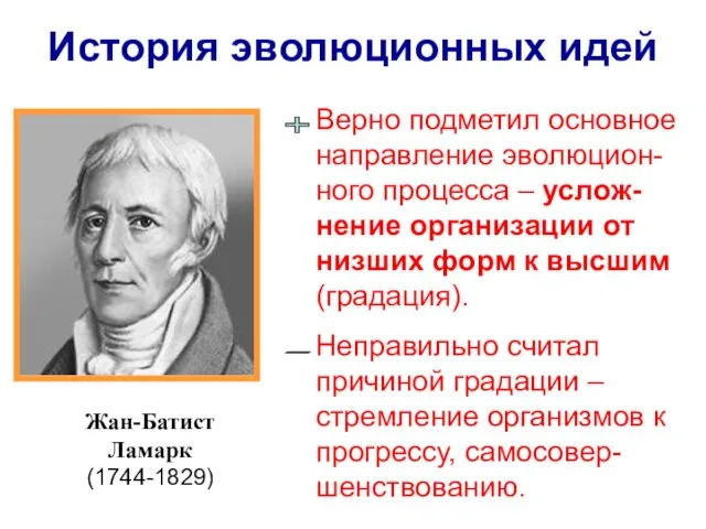 Верно подметил основное направление эволюцион-ного процесса – услож-нение организации от