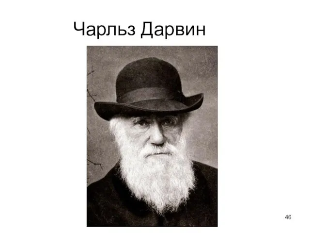 Чарльз Дарвин