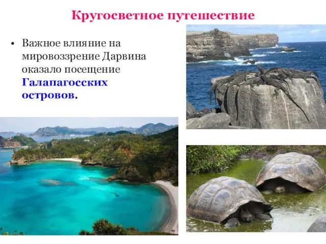 Кругосветное путешествие Важное влияние на мировоззрение Дарвина оказало посещение Галапагосских островов.