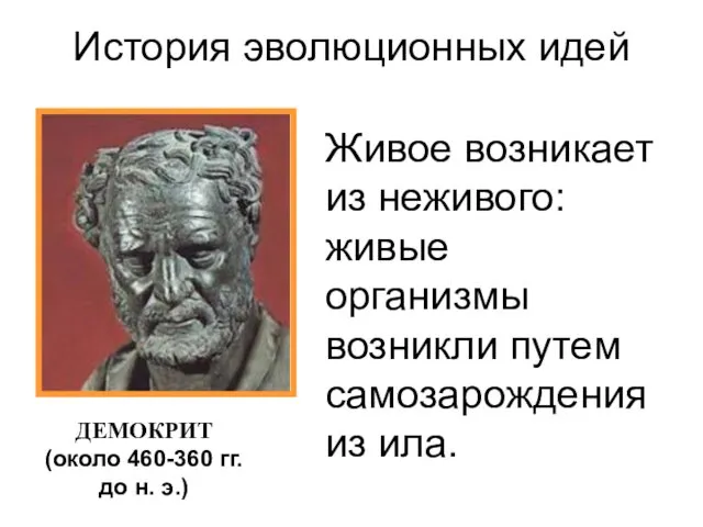 Живое возникает из неживого: живые организмы возникли путем самозарождения из ила. История эволюционных